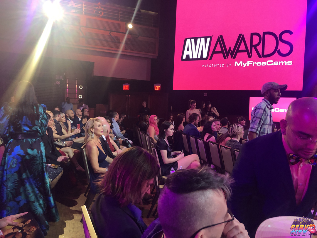 adult entertainment expo, AVN, Avn Awards, PervCity, pornstars, las vegas